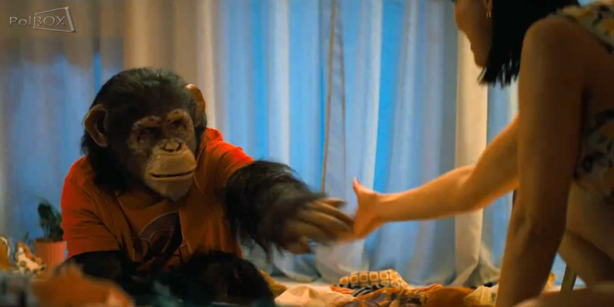 Primate