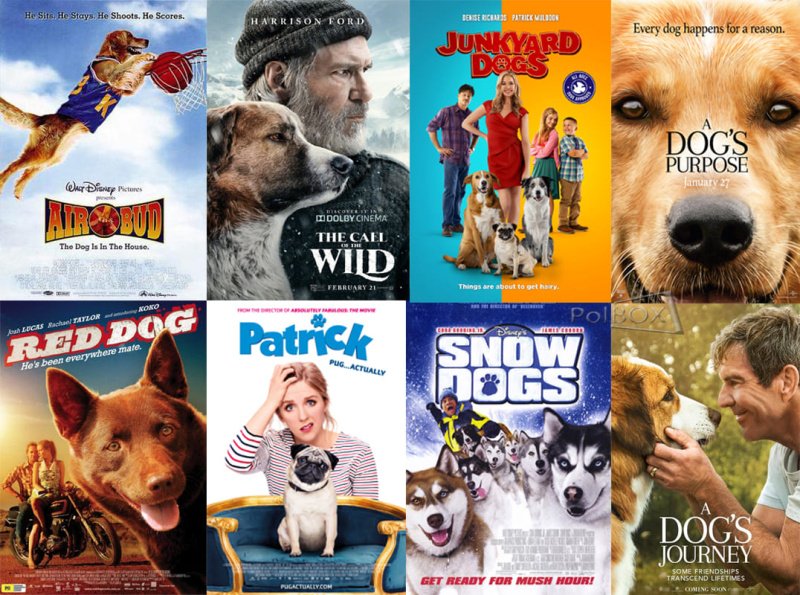 From Hilarious to Heartwarming: Discover the Top 7 Dog Comedies