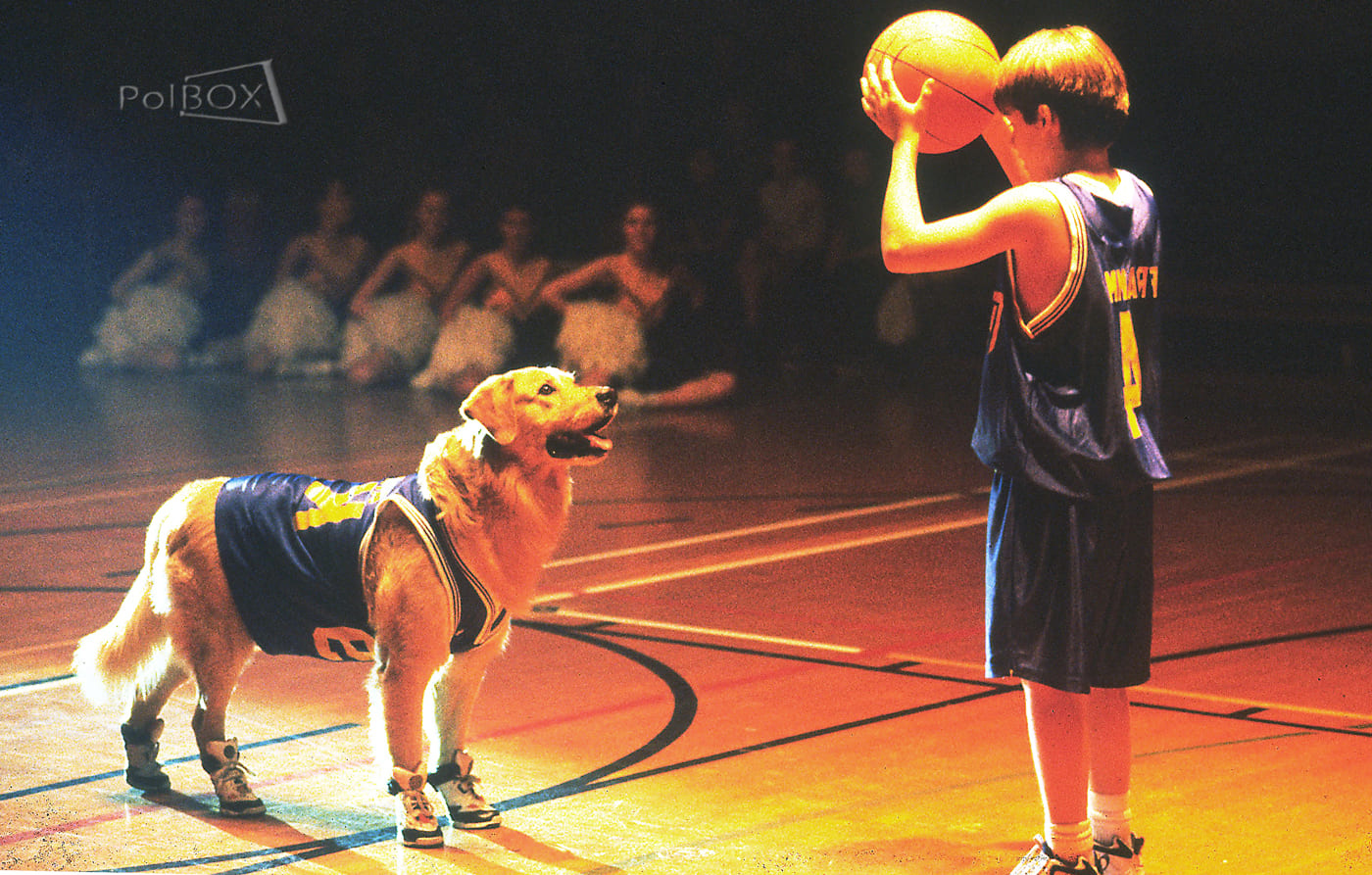 Koszykarz Buddy (Air Bud)